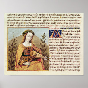 Póster Mulher que joga um viol