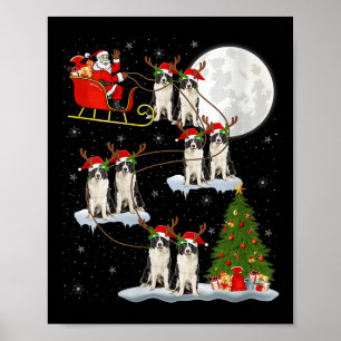 Poster Mulheres Border Collie Cachorro Papai Noel Trenó V