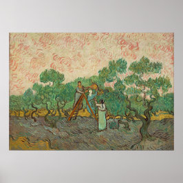 Poster Mulheres Colhendo Azeitonas, Van Gogh