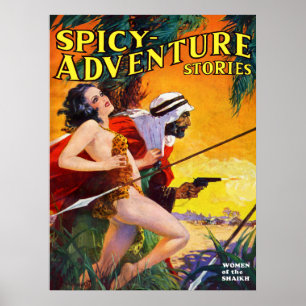 Póster Mulheres do Shaikh