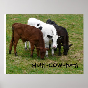 Poster Multicultural? Somos multi-COW-tural!