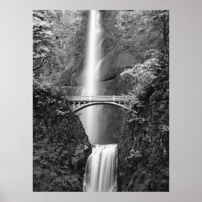 Poster Multnomah cai em cascata com ponte de Benson (Frente)