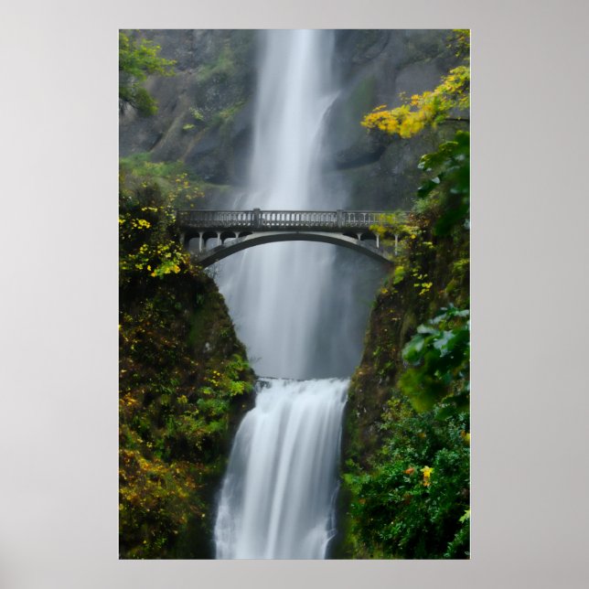 Póster Multnomah Cai no Queda (Frente)