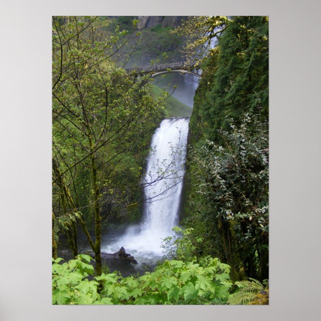 Póster Multnomah Waterfall (Frente)