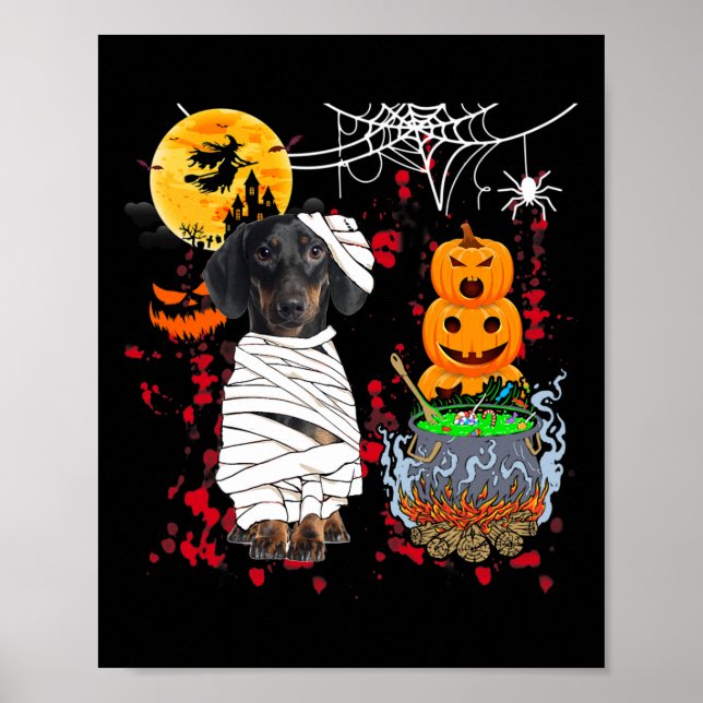 Poster Mummy Dachshund Dog Halloween Cão Assustador Pumpk (Frente)