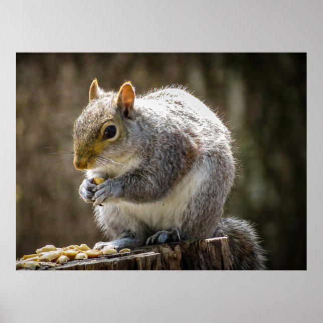 Poster Munchies (Frente)