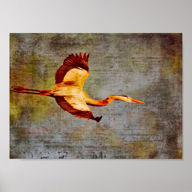 Póster Mundo dos Sonhos-poster (Frente)