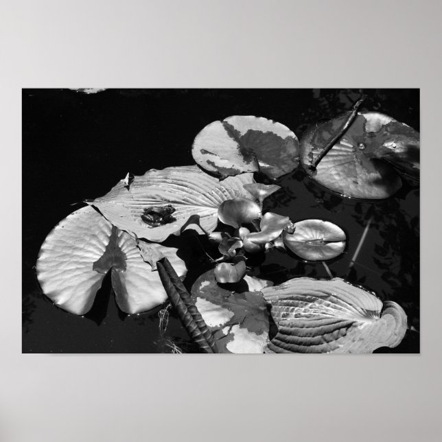 Poster Mundo sapo (Frente)