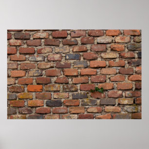 Poster Muro de tijolo