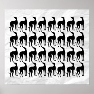 Póster Muro excelente dos Greyhounds