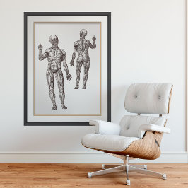 Poster Muscle Men Sports Medicine Anatomia Humana