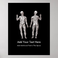 Músculos - Anatomia do Sistema Muscular Humano