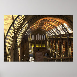 Póster Museu da história natural