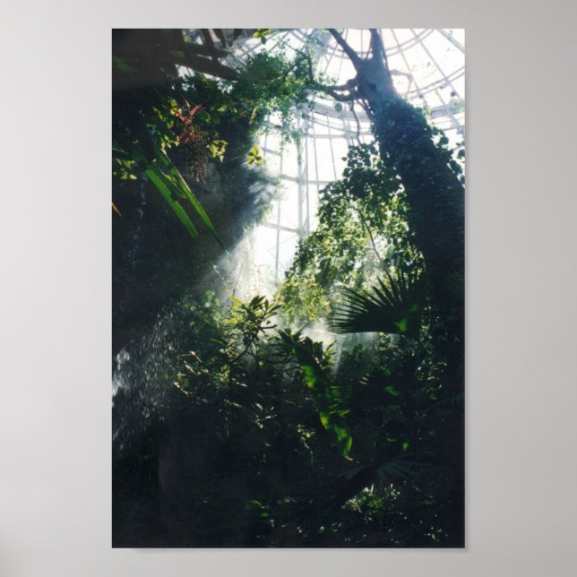 Póster Museu de Ciência e Natureza de Houston (Frente)