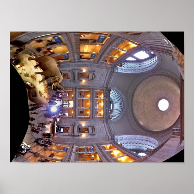 Poster Museu de História Natural (Frente)