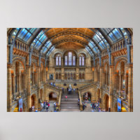 Museu de História Natural