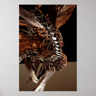 Póster Museu de Houston da ciência natural