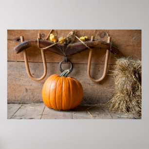 Póster Museu dos Agricultores. Pumpkin em celeiro com far