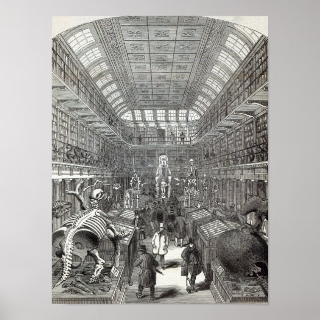 Póster Museu Hunteriano (Frente)