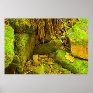 Poster Musgo e Pedra – Cachoeira Húngara, Península Super