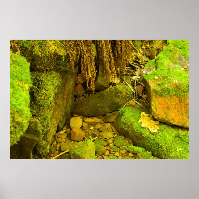 Poster Musgo e Pedra – Cachoeira Húngara, Península Super (Frente)