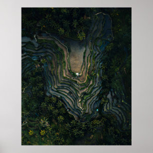 Poster musgo verde na rocha negra