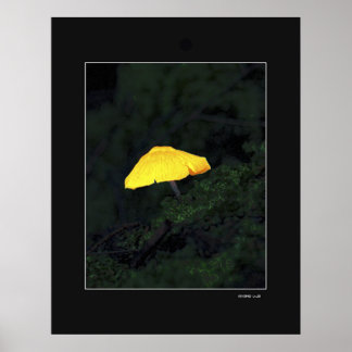 Poster Mushroom