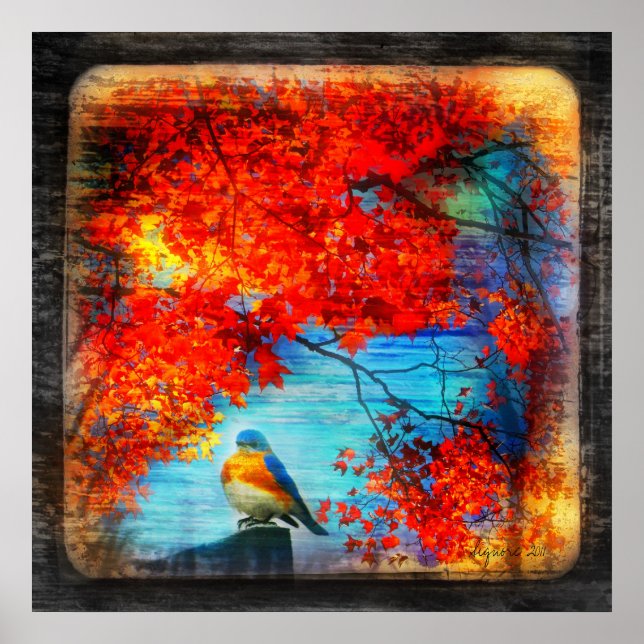 Póster Música Bluebird,poster (Frente)