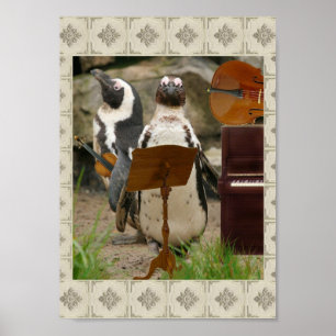 Póster Música da Câmara dos Pinguins