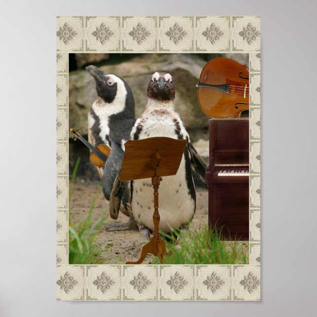 Póster Música da Câmara dos Pinguins (Frente)