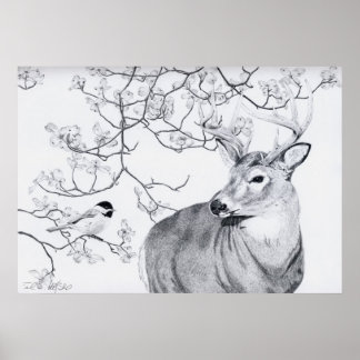 Póster Música de Chickadee