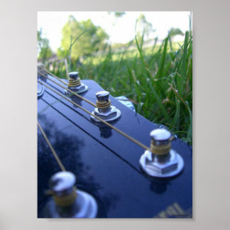 Póster Música na Natureza