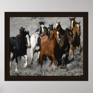 Póster Mustang