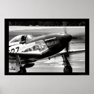 Póster Mustang de P-51D - Inferno-er busto