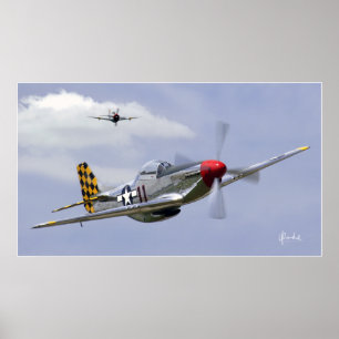Póster Mustang e raio