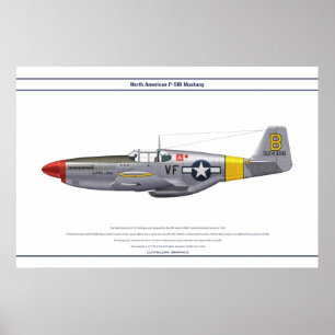 Póster Mustang EUA 5FS 1
