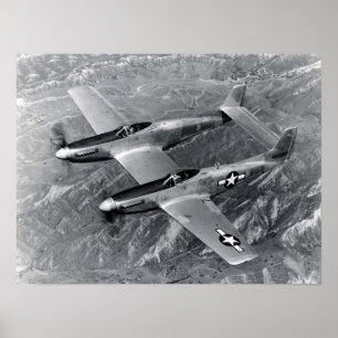 Poster Mustang F82 gêmeo
