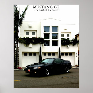 Poster Mustang GT