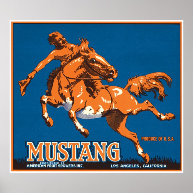 Poster Mustang Horse Cowboy Los Angeles Califórnia EUA (Frente)