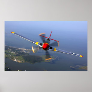Póster Mustang P-51