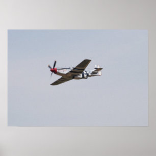 Póster Mustang P-51