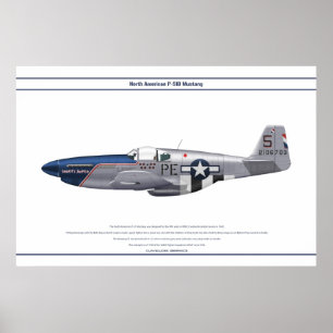 Poster Mustang USA 328FS 1