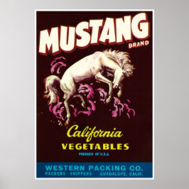 Poster Mustang Wild Horse Guadalupe Vegetais da Califórni