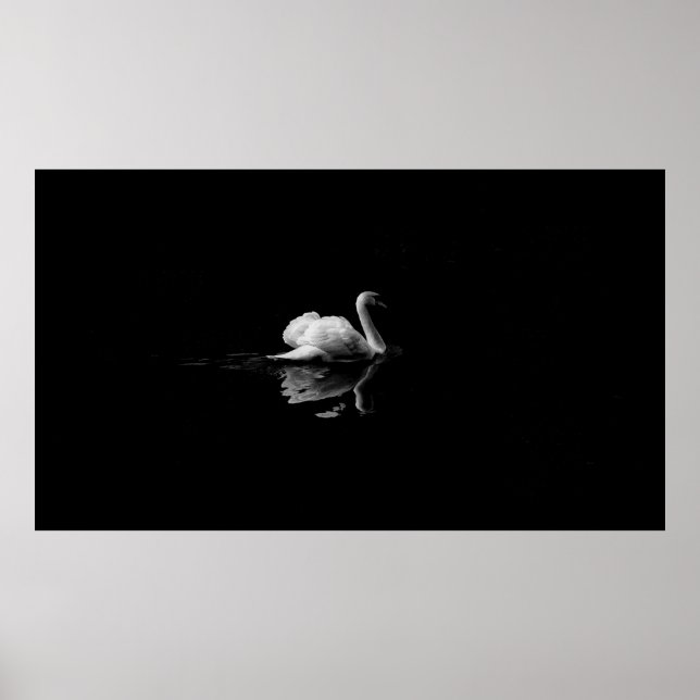 POSTER MUTE SUAN EM FOTOGRAFIA DE BAIXA LUZ (Frente)