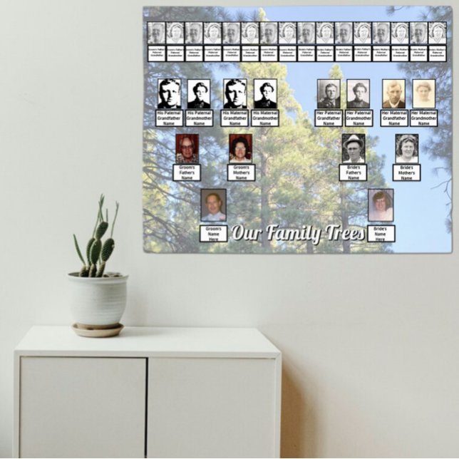 Poster Muted Pine Tree Forest Photo with Two Family Trees (Criador carregado)