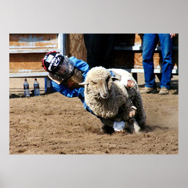 Poster Mutton Buster Testa Seu Mettle (Frente)