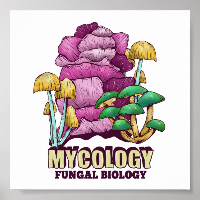 Poster Mycologia Biologia Fúngica (Frente)