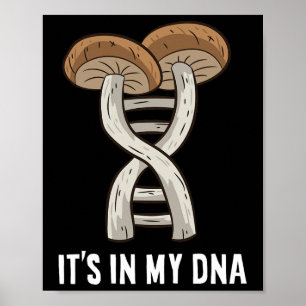 Poster Mycology Mushroom caçando Cogumelos Escolhidos Est
