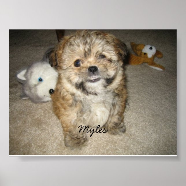 Póster Myles (Frente)