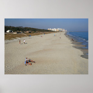 Poster Myrtle Beach State Park, Carolina do Sul
